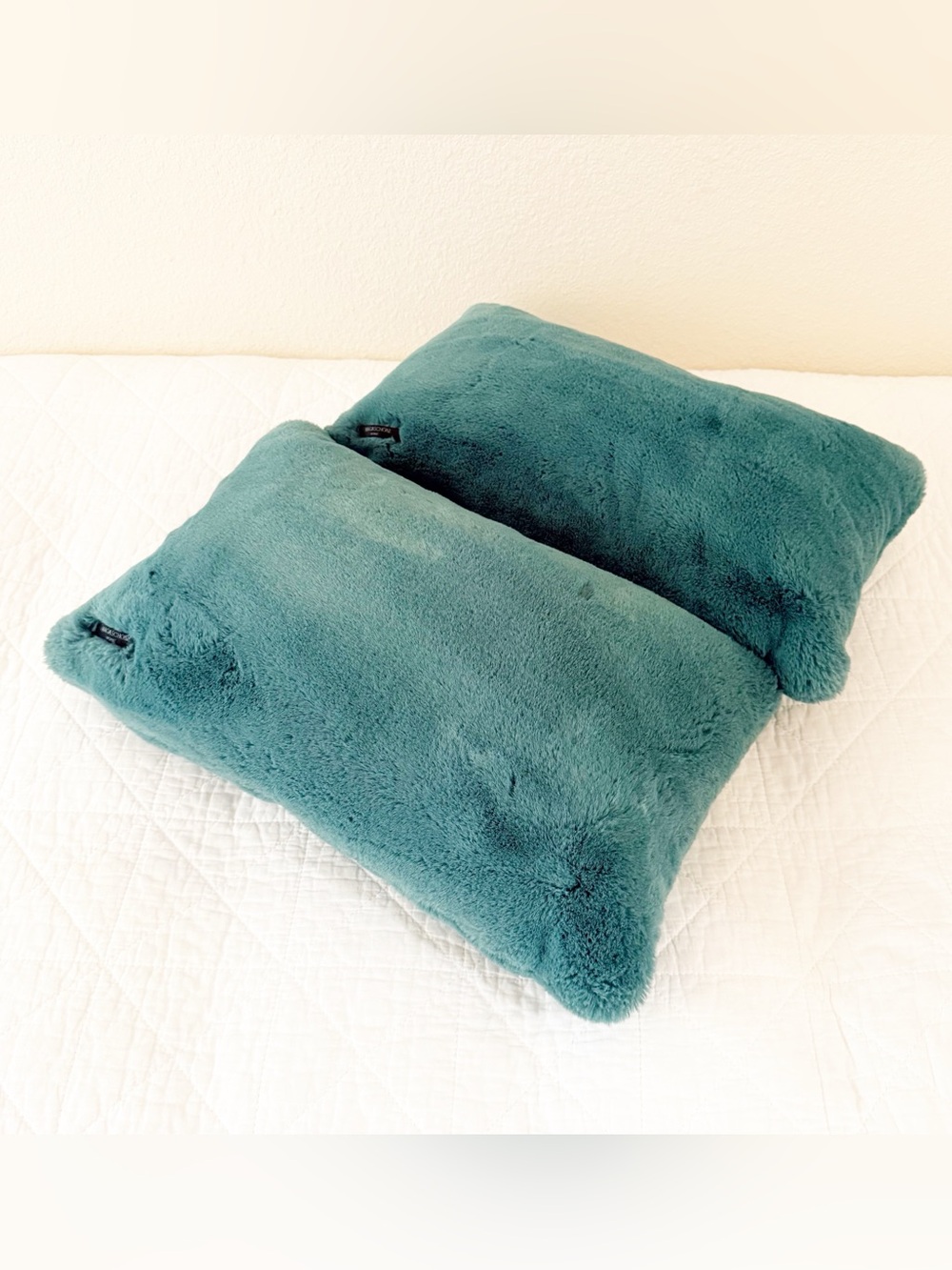 Magaschoni Plush Teal Accent Pillow Pair
